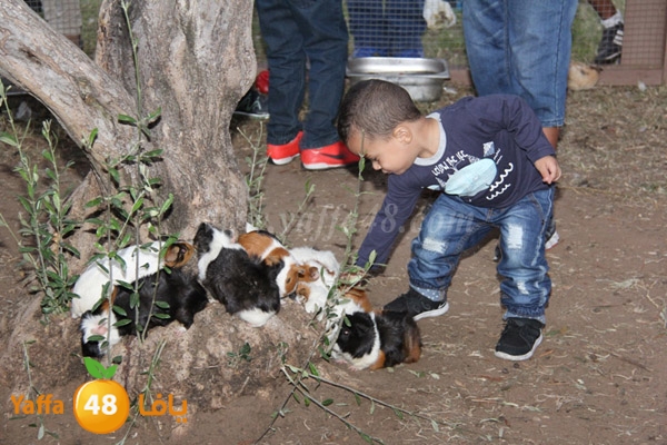 mahrajan thaqafa thirs (16).JPG